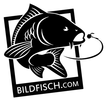 Bildfisch